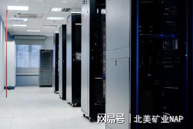 An illustrative view of a modern mining rig setup in a hosted environment